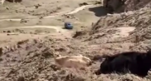 A blocked road to the village of Guimi. Still from video: https://www.instagram.com/p/DW_alk2DH5d/ (Meta, the company that owns the social network, is banned in Russia).